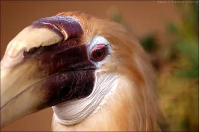 C'est un coup de colère, souvent partagé par deux personnes !