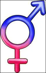 À partir de quel âge les chevaux ont-ils atteint leur maturité sexuelle ?