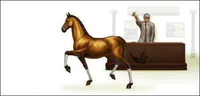 Quel est le prix minimal pour la vente d'un cheval ?