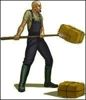 Combien y a-t-il de métiers ?