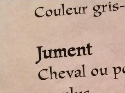 Que veut dire "jument" ?