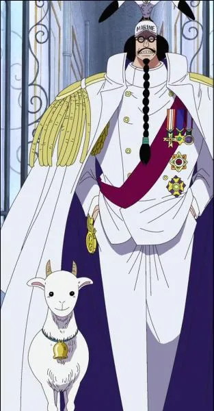 À quelle personne Sengoku veut-il léguer sa place "d'Amiral en chef de la Marine" ?