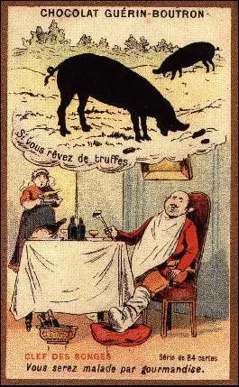 Quand il pleut au mois d'août, ... sont au bout.