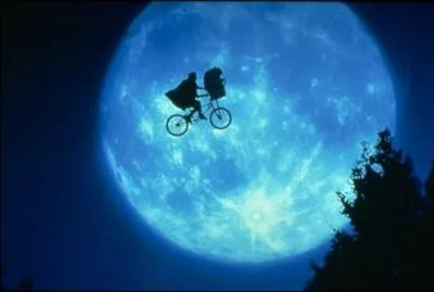 Coupe ton bois en ... d'août, il sera sain comme un os.