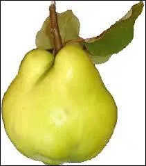 Sur la photo, vous pouvez voir une poire.