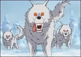 On est où là ? Au secours !