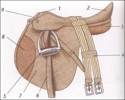 Quelles sont les parties 1 ; 4 ; 6 ; 2 de la selle ?