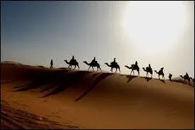 Vers quelle période le dromadaire a-t-il été utilisé à grande échelle comme moyen de transport dans le Sahara développant ainsi le commerce caravanier ?