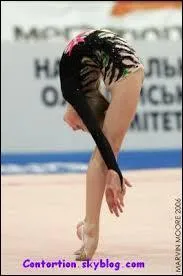 Comment s'appelle cet engin ?