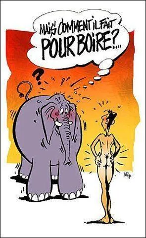 Le saut en hauteur le plus haut pour un éléphant a été mesuré à 1m50, ce qui est déjà énorme pour un animal aussi gros !