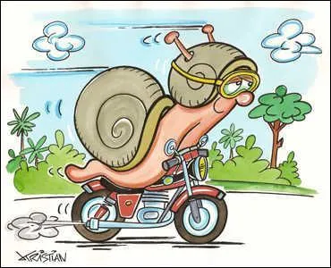 Mais tu ne sais pas tout, il y a encore plus extraordinaire, en Thaïlande on vient de découvrir une nouvelle race d'escargots, capable de planer sur plusieurs dizaines de mètres !