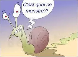 Et attends, ce n'est pas fini, je ne t'ai pas encore parlé de ces escargots terrestres carnivores, qui avalent des insectes, des vers et même d'autres escargots !