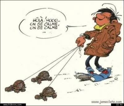 Une tortue marine peut avoir deux têtes !