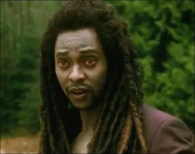 Les loups m'ont tué. Qui suis-je ?