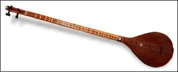 Comment se nomme cet instrument de musique ?