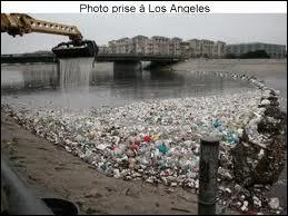Devinez la durée de vie d'une bouteille en plastique jetée dans la nature !