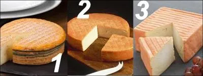 Lequel de ces fromages s'appelle le maroilles ?