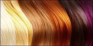 Laquelle de ces personnes a le moins de cheveux ?