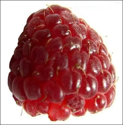 Comment appelle-t-on ce fruit en anglais ?