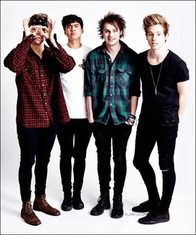 Comment appelle-t-on la fanbase des 5SOS ?