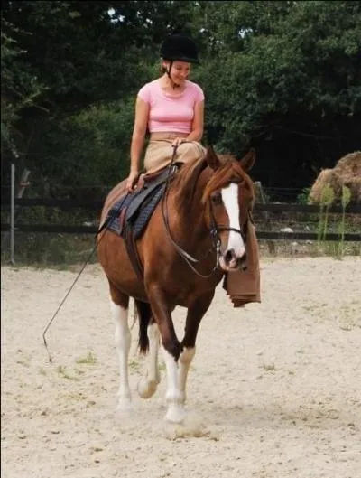 Quelles aides sont naturelles parmi celles-ci ?