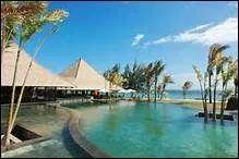 Cet animal est malheureusement disparu au XVIIè siècle. Autrefois, il habitait à l'Île Maurice. Mais quel est cet animal ?