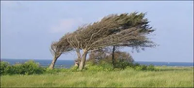 Un souffle puissant vous portera loin, vers la victoire, évidemment.