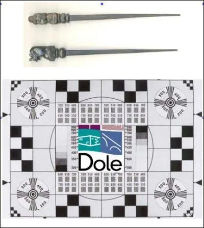 Celui-ci se piquait d'être un génie universel et polyglotte : Voltaire en riait pas mal ! Qui fut-il ?