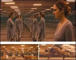 Durant son test d'aptitude, le reflet de Béatrice dans le miroir lui dit de choisir entre un couteau et de la viande, que fait-elle ?