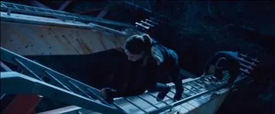 Pendant la deuxième étape les novices devront affronter leurs peurs les plus profondes à travers des hallucinations que Quatre verra sur son écran. En voyant dans la tête de Tris, il se rendra compte de sa divergence. Pour la protéger, il l'emmène dans sa tête à lui. Combien a-t-il de peurs ?