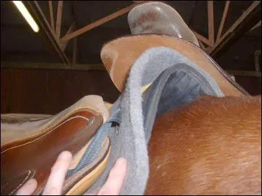 Pourquoi est-il important de dégarroter ?