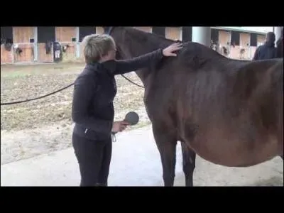 Quelle partie doit-on vérifier avant de seller et monter son cheval ?