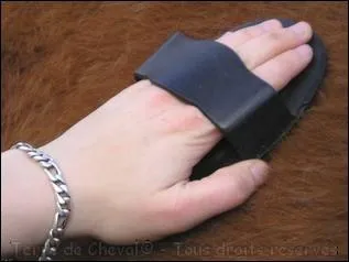 Sur quelles parties se passent l'étrille et le bouchon ?