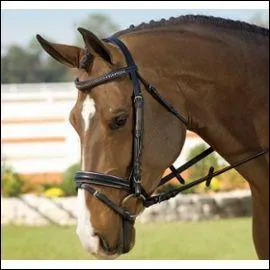 Lorsque je mets un filet à ma monture, que dois-je attacher ?