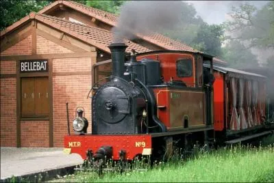 Quelle est cette ville du Loiret, où vous pourrez visiter l'intéressant musée des Transports avec une petite ligne de chemin de fer sur laquelle circulent d'originaux Décauville?