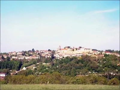 Quel est ce charmant bourg du département de la Dordogne où vous pourrez admirer l'église Notre-Dame-de-l'Assomption, un beffroi, la tour de l'Auditeur et une belle maison néogothique (1882) et bien d'autres merveilles?