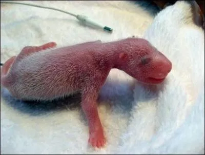 Encore plus dur, qu'est-ce ?