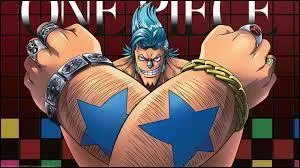 Moitié robot, moitié homme, mais également pirate. Mais bon, on ne va pas chipoter pour une question !