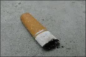 Un mégot de cigarette met .... pour disparaître entièrement.
