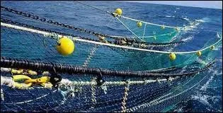 Un filet de pêche disparaît en :