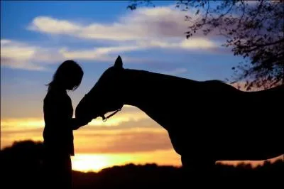 Quelles précautions prendre lorsque tu es en reprise ?