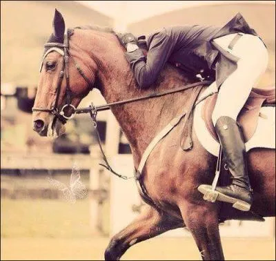 Comment faut-il se comporter pour sauter des obstacles ?