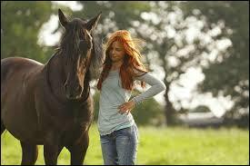 Quiz Chevaux