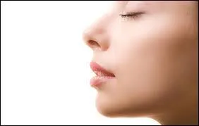 Qu'est-ce qu'un nez ?