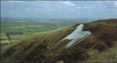 Ce dessin est gravé dans le flanc d'une colline crayeuse en bordure de la plaine de Salisbury. Où se situe précisément ce cheval géant ?