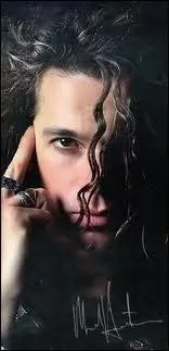 Leader du groupe INXS , c'est :