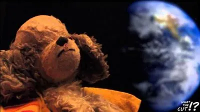 C'est Richard de What the Cut, à qui appartient cette peluche ?