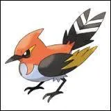 Comment s'appelle l'évolution de Passerouge ?