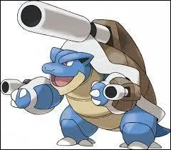 Quelle est l'évolution de Tortank ?