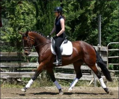 De quelle côté faut-il monter ?